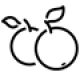קייטרינג מגשי אירוח