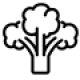 קייטרינג טבעוני